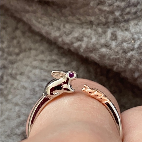 Jewelry - Sterling Silver Rabbit Ring